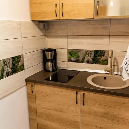 아파트 Aries Postavarului