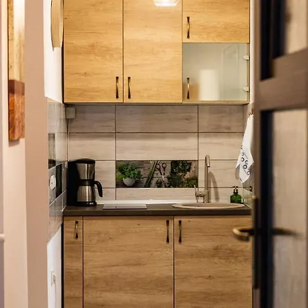 Aries Postavarului Apartament Braszów
