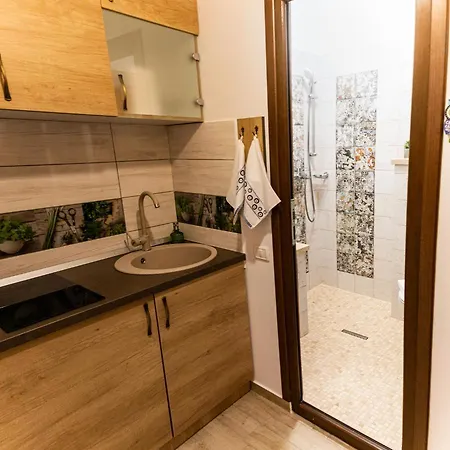 아파트 Aries Postavarului 브라쇼브