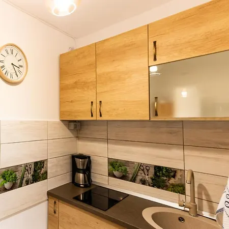 아파트 Aries Postavarului 브라쇼브