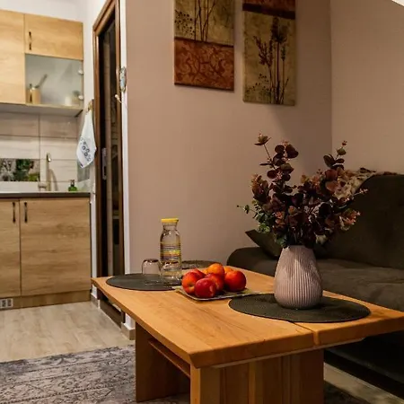 Aries Postavarului Apartmán Brašov