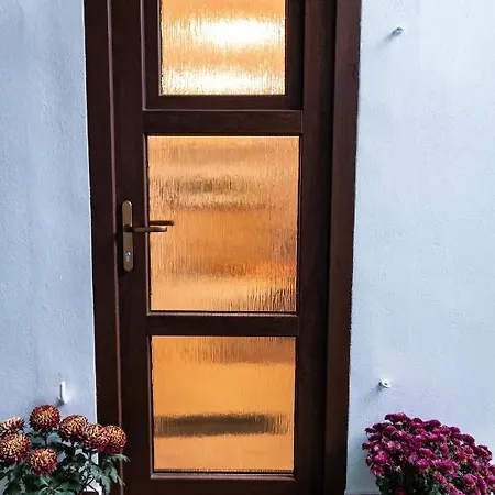 Aries Postavarului * בראשוב