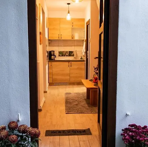 Apartment Aries Postavarului *