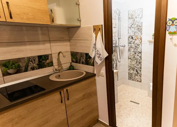 Apartment Aries Postavarului Brasov