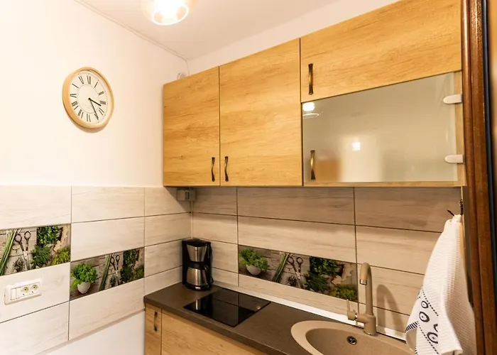 Apartment Aries Postavarului Brasov