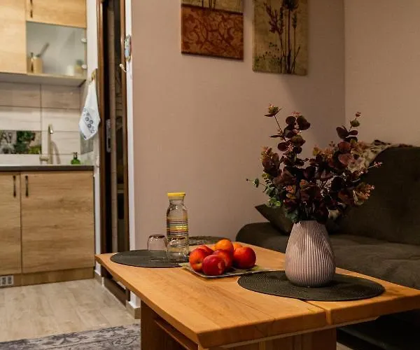 Aries Postavarului Apartment Brasov