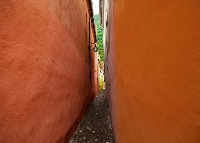 Aries Postavarului *