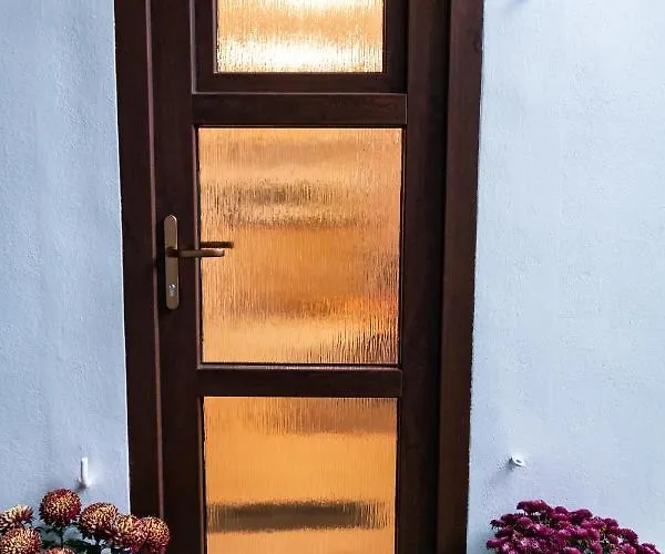 Aries Postavarului * Brasov